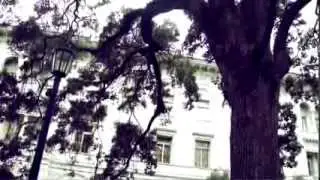 Wright Square Telfair Square Savannah GA Location Study Mood Project