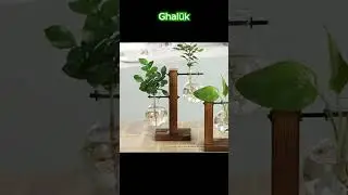 Hydroponic Transparent Plant Vases