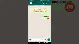 COMO PONER TEXT FLIPPER