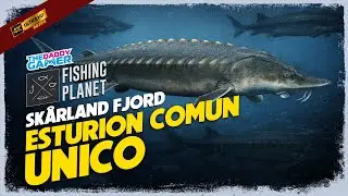 ⭐️ESTURION COMUN UNICO   Noruega Sk&aring;rland Fjord!!⭐️🐋 FISHING PLANET🐋