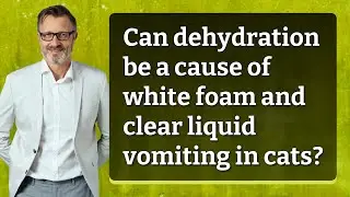 Can dehydration be a cause of white foam and clear liquid vomiting in cats?