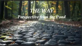The Way: Week 10 - Walking the Ancient Path - Real Time Torah 9-16-25