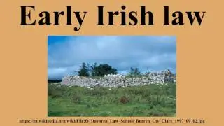 Early Irish law