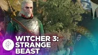 The Witcher 3 Monster Contract Guide: Strange Beast