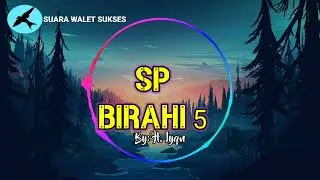 🔴SUARA PANGGIL WALET SP BIRAHI 5 ‼️By: H. Iyan Walet, Suara Walet Sukses Terbukti...!!!