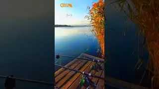 🇺🇦 carpzone.ua 🇺🇦
