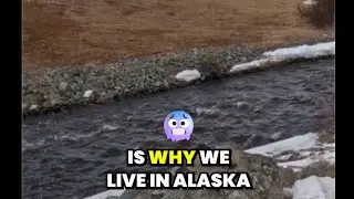 An Alaskan's Favorite Denali Highway Camping Spot