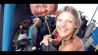 Amazing Divemaster Internship Programme  Koh Tao. Join us for the best 2 months of your life