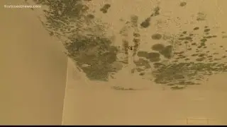 On Your Side: Moldy apartment health concerns