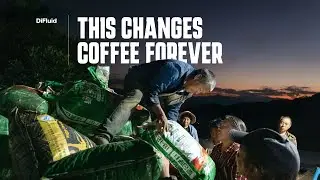 Mastering the Art of Coffee Production With DiFluid Technology - Feat. Yunnan Coffee Farms
