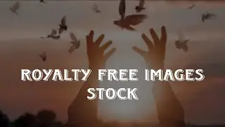 Royalty free images stock by info with Adi