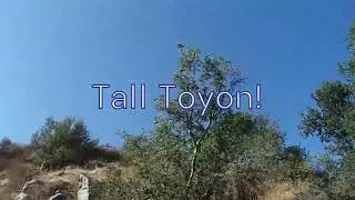 8/30/22: Mission Trails Regional Park- South Fortuna Mtn (1,094') and Visitor Center Loop Pt. 7/7