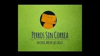 Perros sin correa