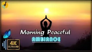 Yoga Music | Meditation Music | Healing Music | Relaxing Music | Ambience | @Soothing Partner​