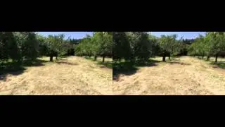 Test Sony HDR-TD30