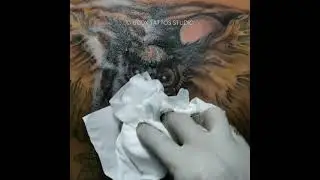 OWL & POCKET WATCH TATTOO by UCOX TATTOS | Yogyakarta - Indonesia #shorts