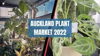 Explore Auckland's Biggest House Plant Market 2022 | Plant Lovers Paradise! #kiwitravelvlogs #plants