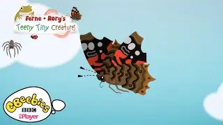 Facts about Butterflies | Ferne & Rory's Teeny Tiny Creatures | CBeebies