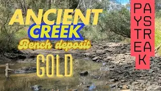We found an ancient bench deposit | paystreak