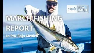 La Paz Fishing Report March 2025 | Tuna Fishing Company