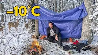 Solo Winter Camping: Steak, Ramen & Fire ASMR