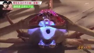 イチから住『タカアシガニリドゥ』
