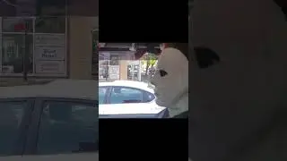 Funniest Michael Myers Mask Pranks Ever!