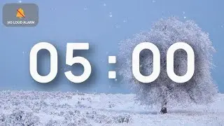 5 Minute Classroom Timer with Relaxing Music | Calm Focus Time | No Alarm