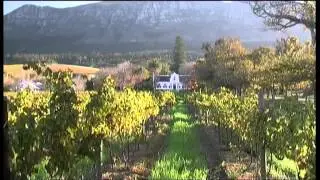 Constantia Vineyards, Cape Town Big 6 - South Africa Tourism