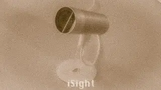 Got an iSight!