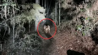 25 SCARIEST Hiking Encounters Caught On Camera | Scary Comp V60