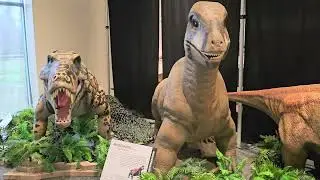 Delaware Museum of Nature and Science