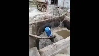 Animal manure removal machine livestock waste solid liquid separator for organic fertizer making