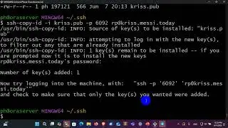 ST20 remote access server via internet (system and data)