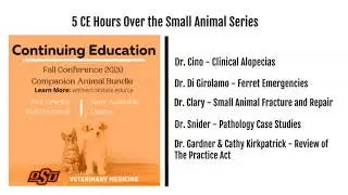Online CE courses from Fall Conference