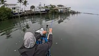 Sheepshead Fishing Placida, Boca Grand