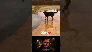 2024 vs 2025 (a glimpse or us💔) #dog #dogshorts #shorts #shortvideo