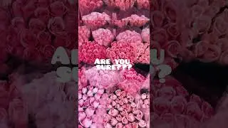 Are you sure???...💕#meme #memes #memelover #pink #love #pinklover #colours #real