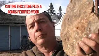 Cutting a Cold Water Agate? maybe and Pet Wood