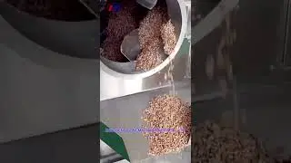 Rotary drum type nuts roasting machine processing video #shorts