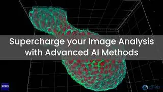 Supercharge your Image Analysis with Advanced AI Methods