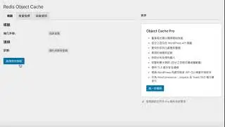 設定Redis Object Cache