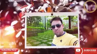 AFTER EFFECT Wedding Project