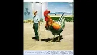 pollos gigantes en brasil modificados geneticamente