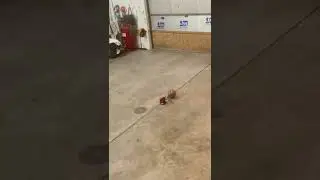 EPIC ball explosion from Milwaukee air compressor!!!