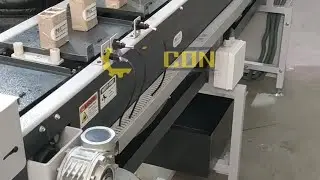 Palletized Conveyor System