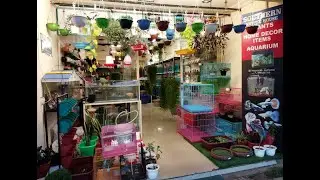 Southern Nature House,KKR Junction, Thodupuzha (Aquarium, Plants, Pets, Home D&eacute;cor Items)