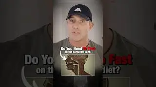 Do You Need To Fast On The Carnivore Diet?
