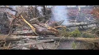 Burning trees while clearing the land Lake Greenwood SC