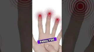 The Deadliest Pressure Points in the Human Body 🥷 | Ninja Secrets